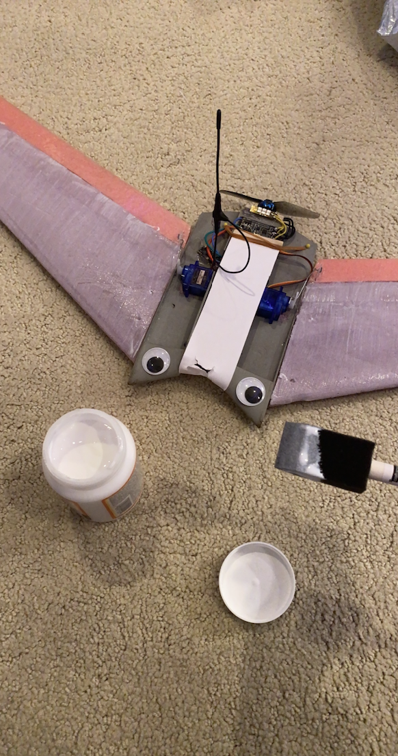 paint wings