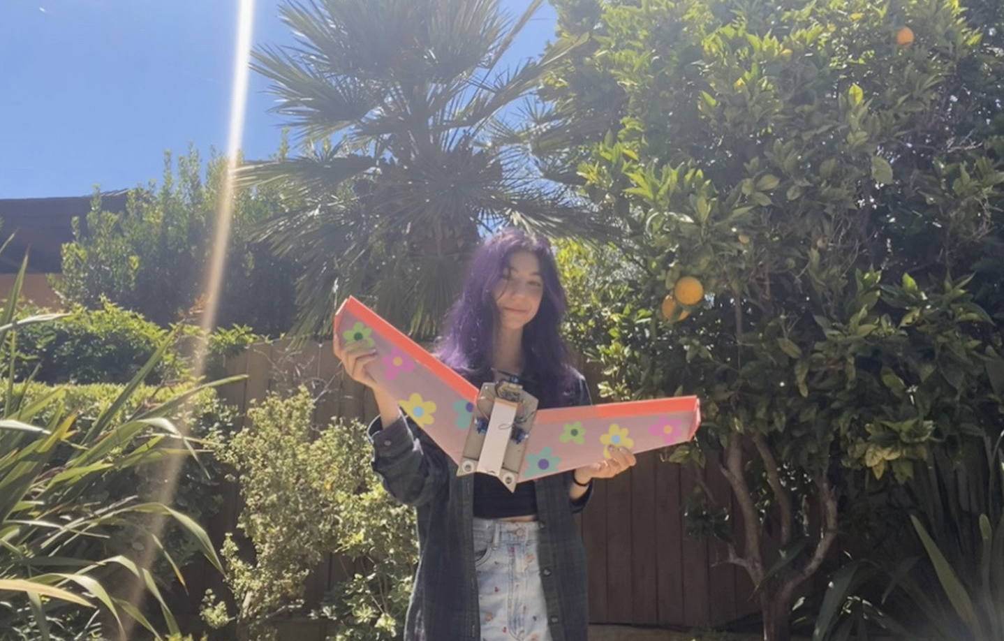 paint wings